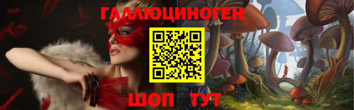 Галлюциногенные грибы Cubensis  Галлюциногенные грибы Psilocybe  Вход с VPN  Новоалтайск 